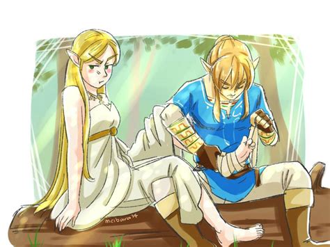 zelda link rule 34|Zelda and Link (AKZai) [Tears of the Kingdom] .